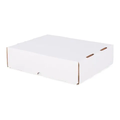 BCW 3200 Count Storage Box (Full Lid)
